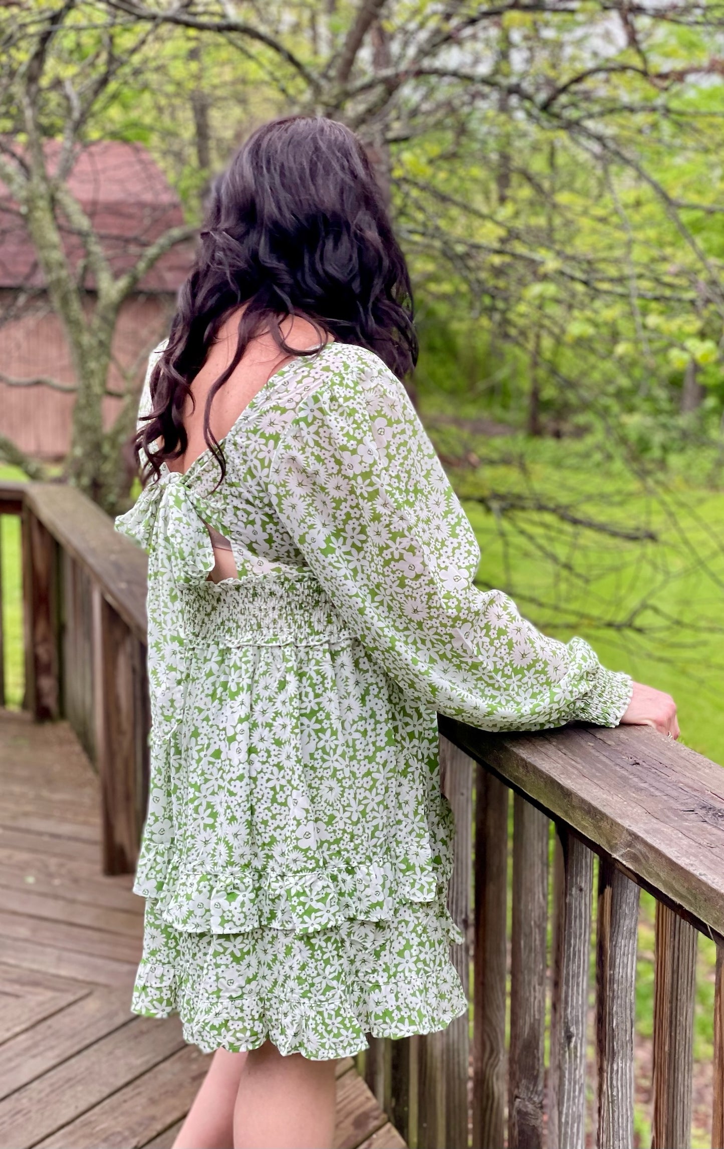 Spring Fling Ruffle Dress