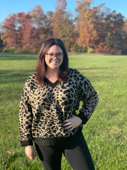 leopard print v neck sweater