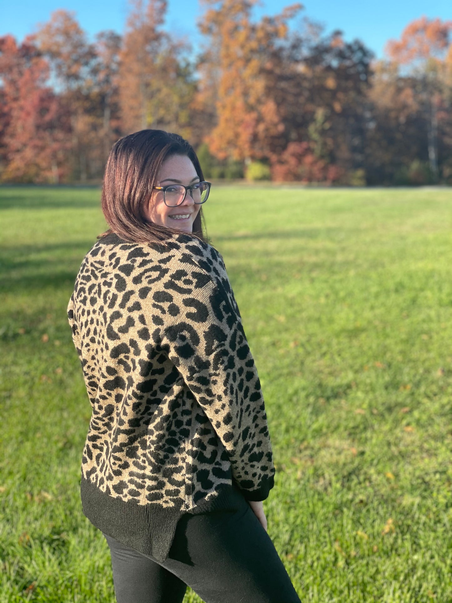 leopard print v neck sweater