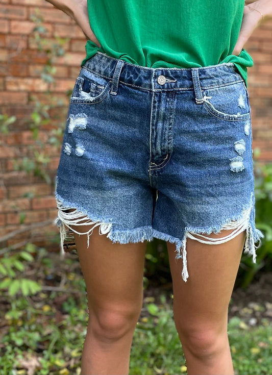 Vervet distressed shorts